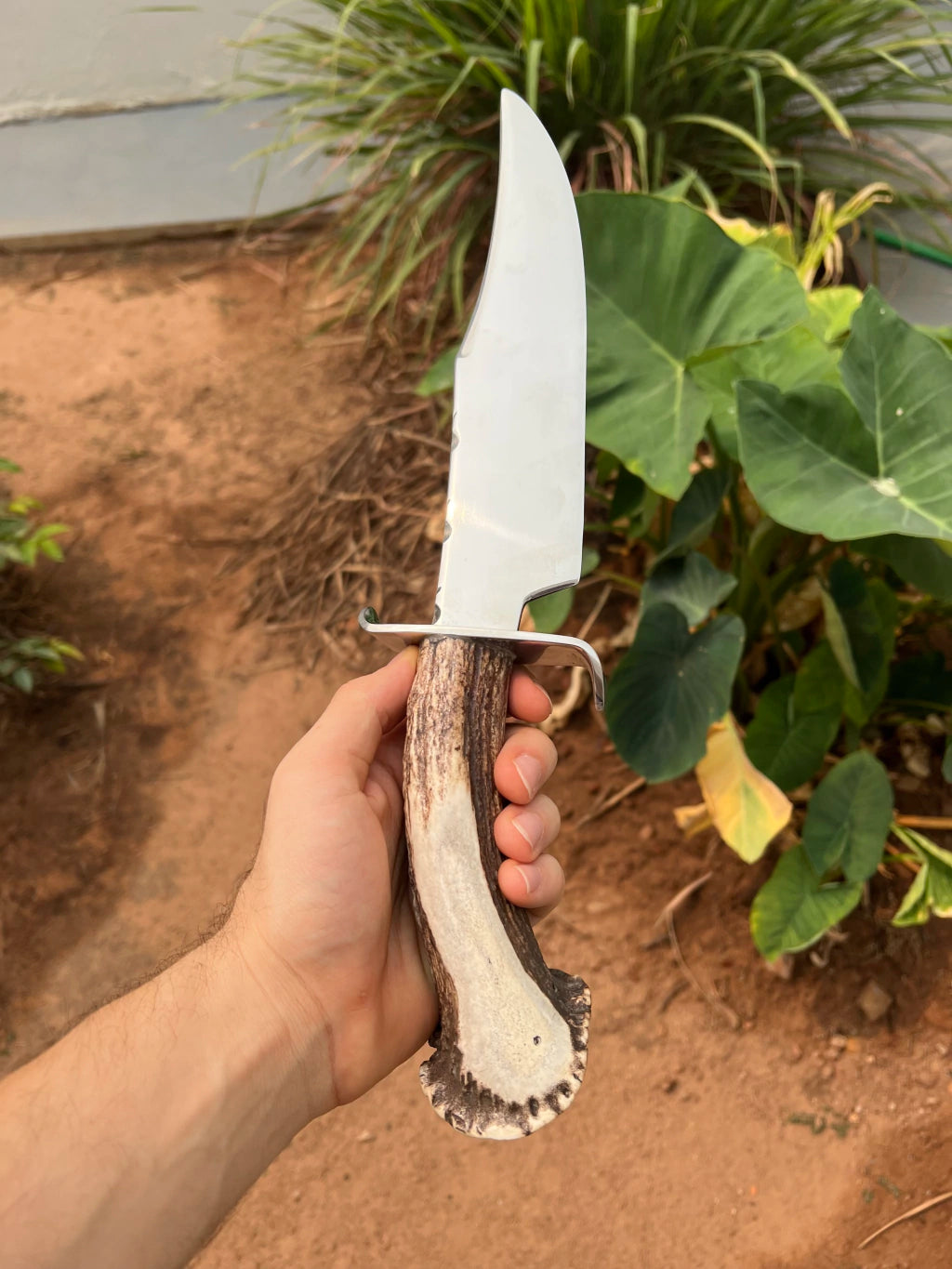 Faca Brut Forge Aço Cirúrgico Cabo de Cervo