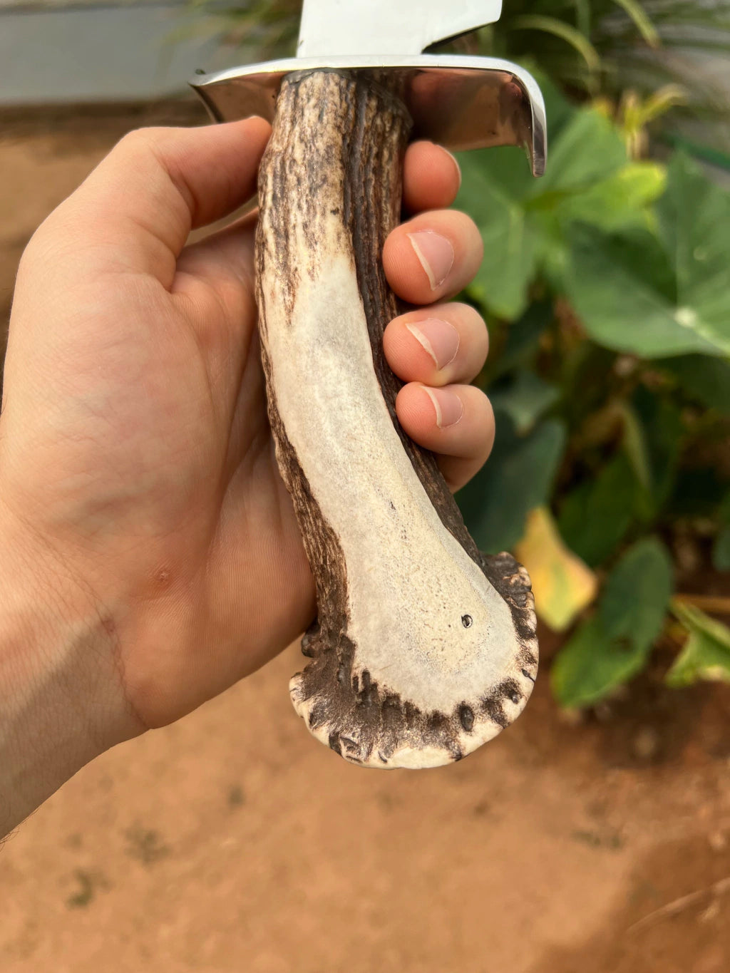 Faca Brut Forge Aço Cirúrgico Cabo de Cervo